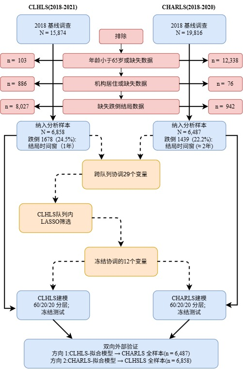 跨队列协调的问卷跌倒风险模型：CLHLS与CHARLS双向外部验证研究(图2)